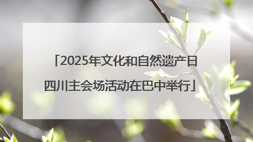 2025年文化和自然遗产日四川主会场活动在巴中举行