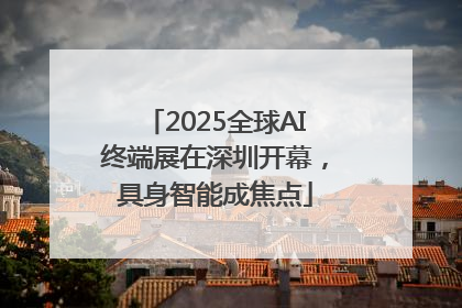 2025全球AI终端展在深圳开幕，具身智能成焦点