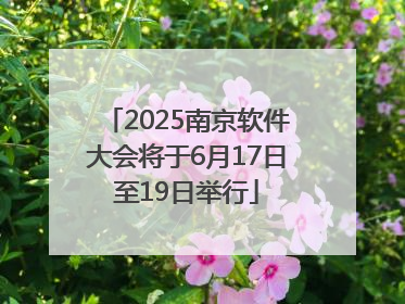 2025南京软件大会将于6月17日至19日举行