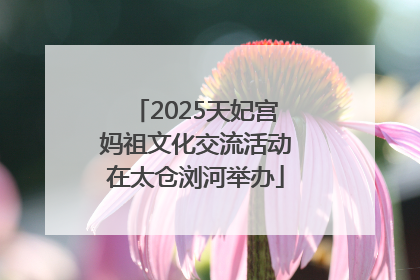 2025天妃宫妈祖文化交流活动在太仓浏河举办