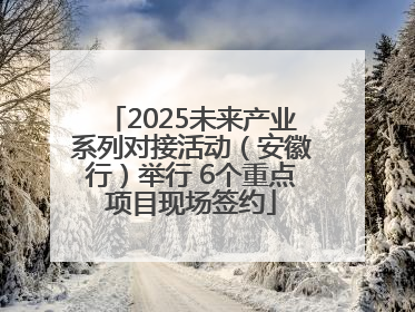 2025未来产业系列对接活动（安徽行）举行 6个重点项目现场签约