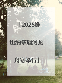 2025维也纳多瑙河龙舟赛举行