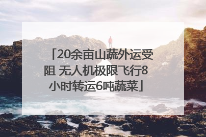 20余亩山蔬外运受阻 无人机极限飞行8小时转运6吨蔬菜