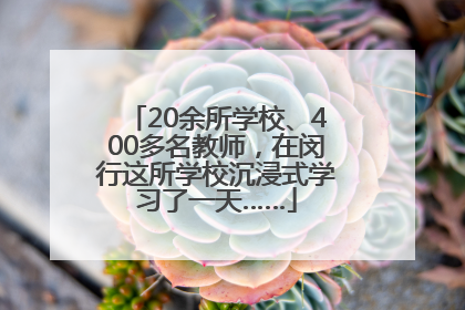 20余所学校、400多名教师，在闵行这所学校沉浸式学习了一天……