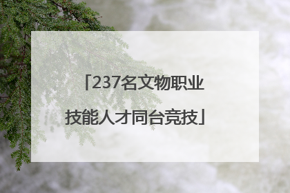 237名文物职业技能人才同台竞技