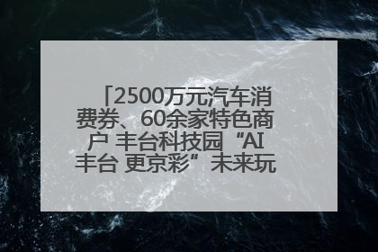2500万元汽车消费券、60余家特色商户 丰台科技园“AI丰台 更京彩”未来玩家市集活动正式开幕