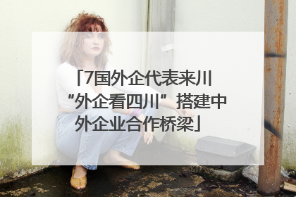 7国外企代表来川 “外企看四川”搭建中外企业合作桥梁