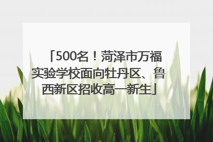 500名！菏泽市万福实验学校面向牡丹区、鲁西新区招收高一新生