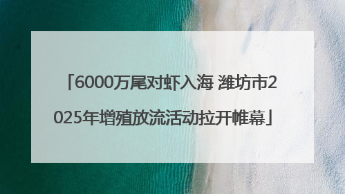 6000万尾对虾入海 潍坊市2025年增殖放流活动拉开帷幕