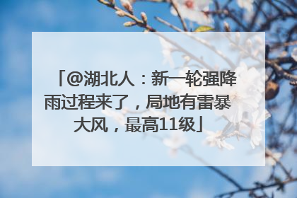 @湖北人：新一轮强降雨过程来了，局地有雷暴大风，最高11级