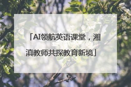 AI领航英语课堂，湘滇教师共探教育新境