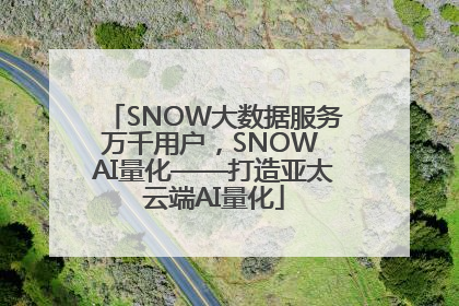 SNOW大数据服务万千用户，SNOW AI量化——打造亚太云端AI量化